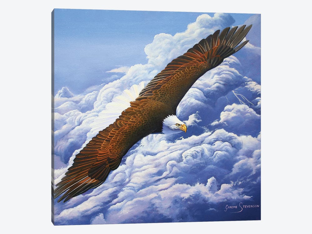Lifted To The Sky 1-piece Canvas Wall Art