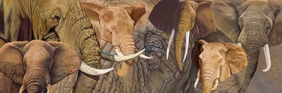 Long Ele by Graeme Stevenson multi panel art