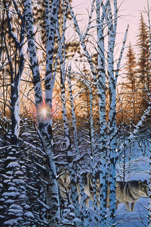 Lupus Dawn by Graeme Stevenson wall art