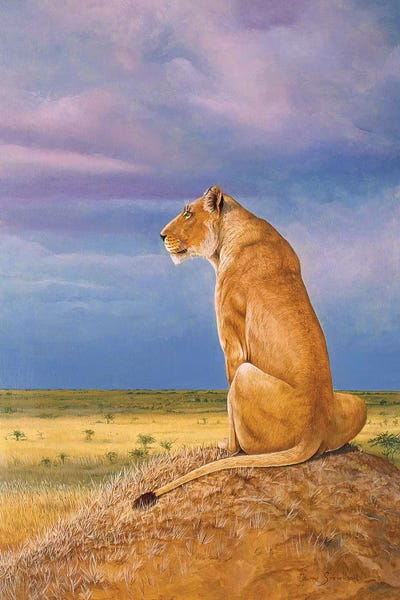 All Purples: Masai Watch by Graeme Stevenson