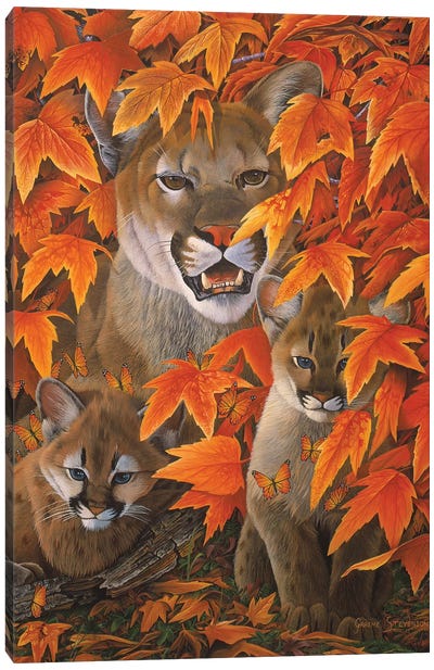 Mountain Colors Canvas Art Print - Cougars