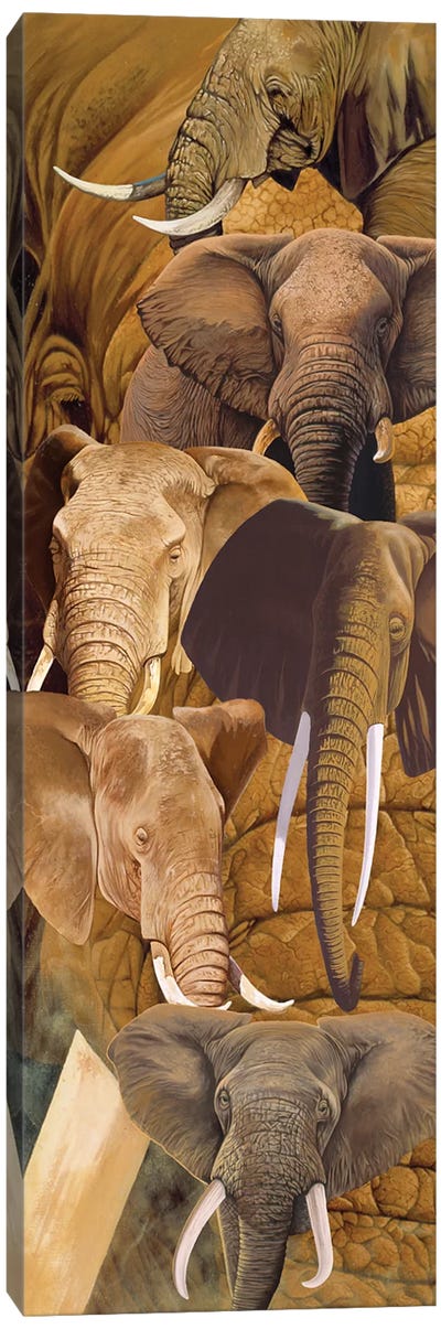 Elephant heads Canvas Art Print - Graeme Stevenson