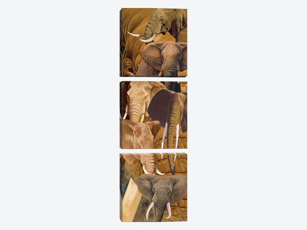 Elephant heads by Graeme Stevenson 3-piece Canvas Wall Art