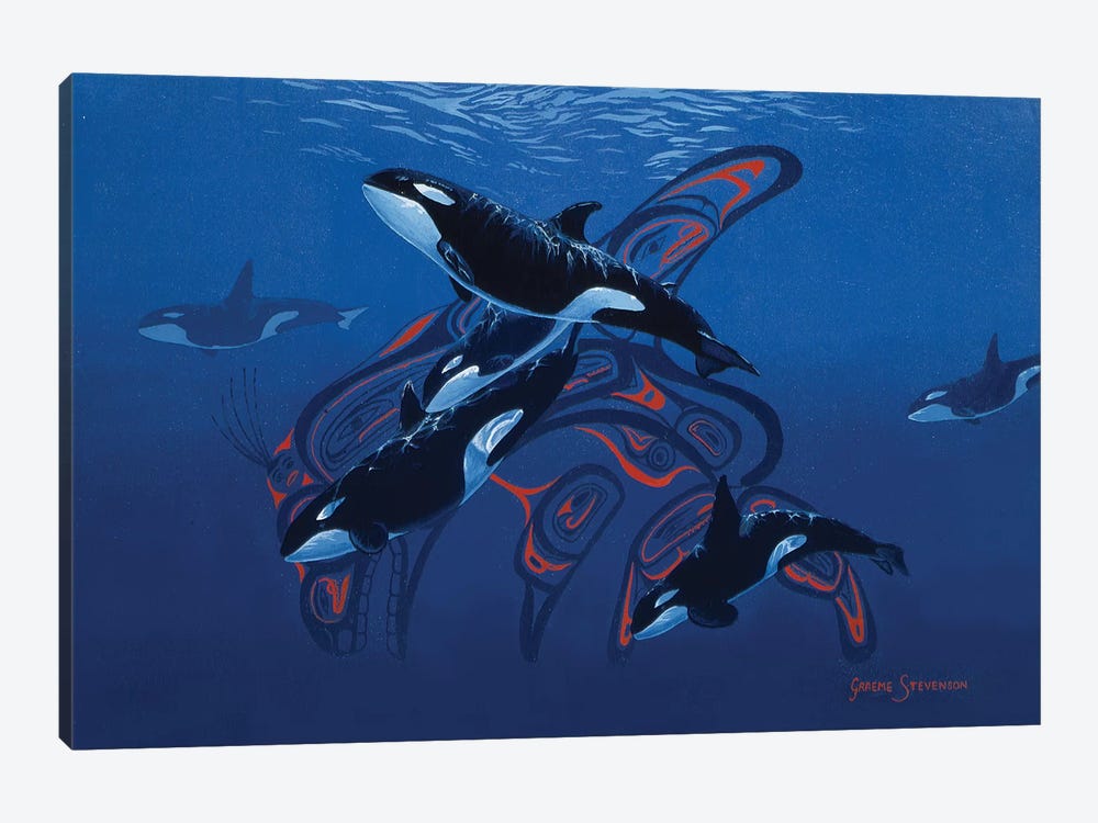 Orca Days by Graeme Stevenson 1-piece Canvas Art Print