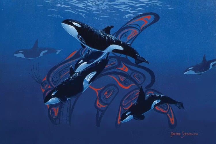 Orca Days by Graeme Stevenson wall art
