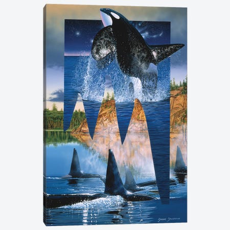 Orca Reflections Canvas Print #GST234} by Graeme Stevenson Art Print