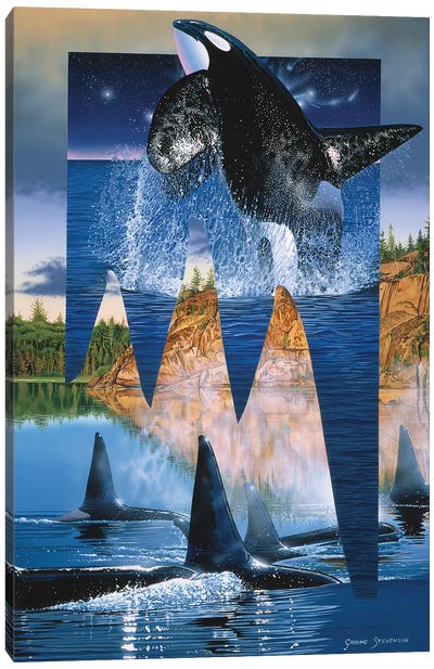 Orca Reflections Canvas Art Print - Wildlife Conservation Art