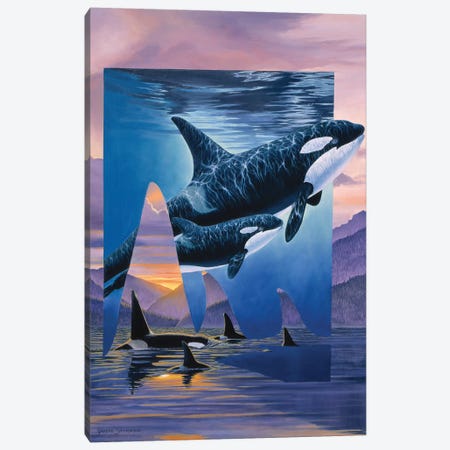Orca Song Canvas Print #GST235} by Graeme Stevenson Canvas Art Print