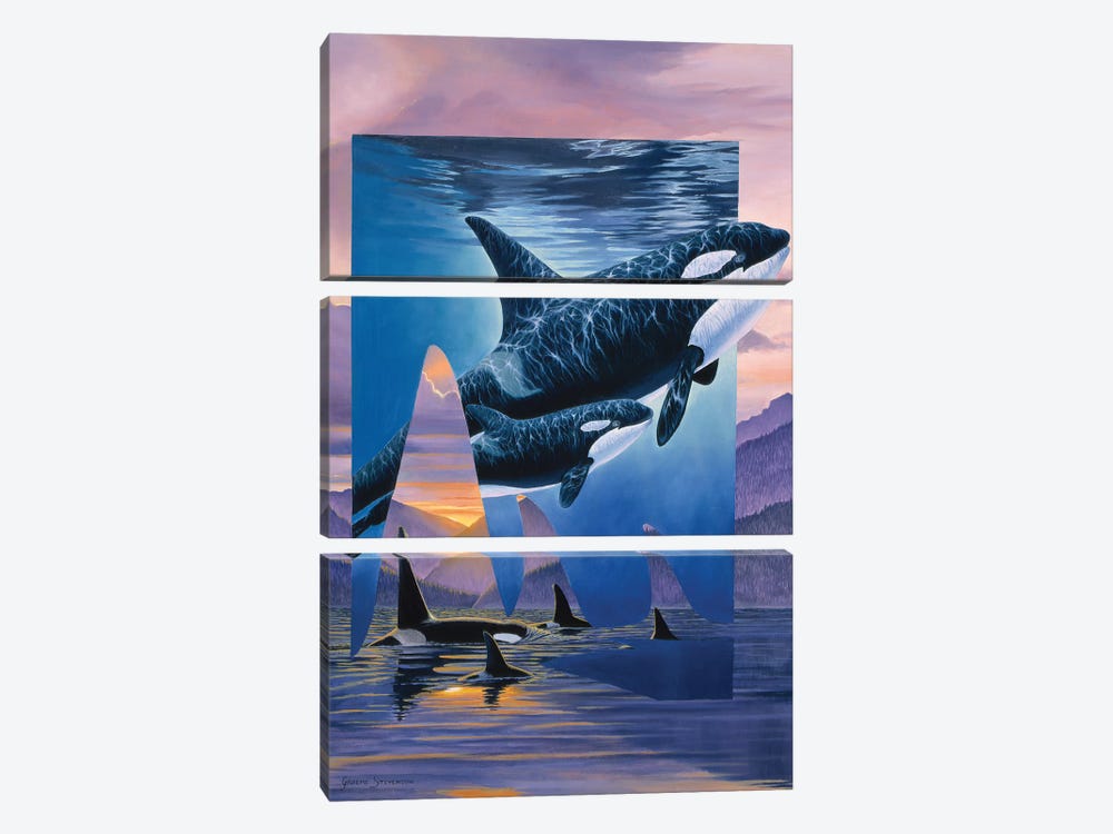 Orca Song by Graeme Stevenson 3-piece Canvas Print