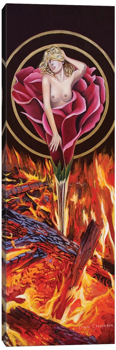 Fire Rose Canvas Art Print - Graeme Stevenson