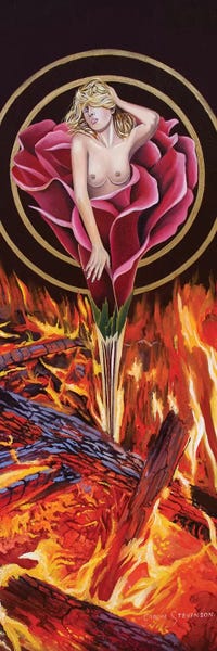 Graeme Stevenson: Fire Rose by Graeme Stevenson