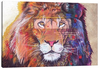 Rainbow Majesty Canvas Art Print - Graeme Stevenson