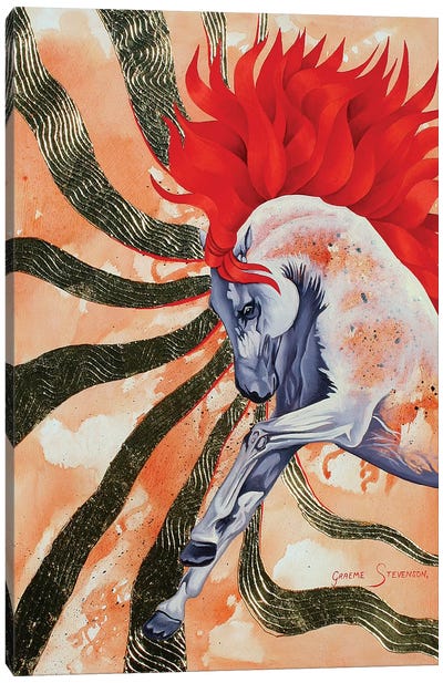 Red Stallion Canvas Art Print - Graeme Stevenson