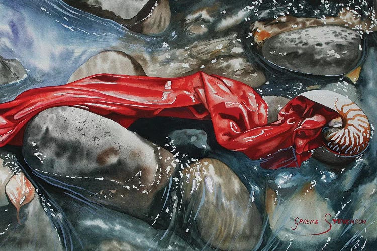 Red Trickle by Graeme Stevenson wall art