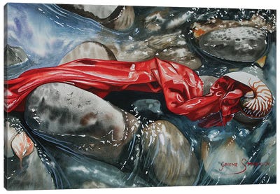 Red Trickle Canvas Art Print - Graeme Stevenson