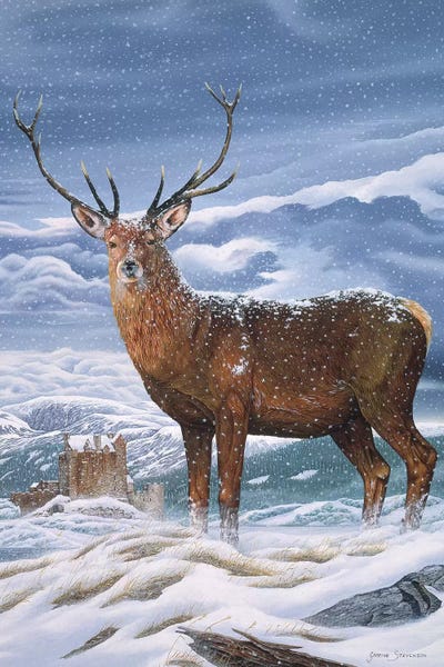 Royal Scot by Graeme Stevenson framed wall art