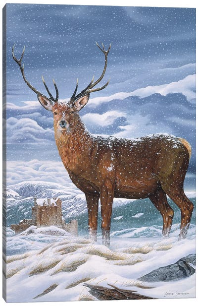 Royal Scot Canvas Art Print - Graeme Stevenson