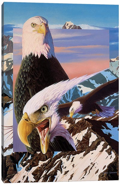 Screaming Eagles Canvas Art Print - Eagle Art