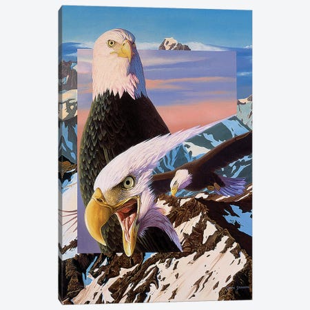 Screaming Eagles Canvas Print #GST246} by Graeme Stevenson Canvas Art