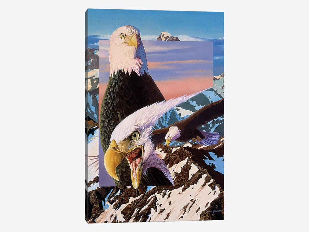 Screaming Eagles by Graeme Stevenson 1-piece Art Print