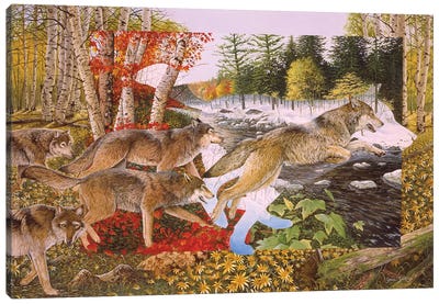 Seasons Of The Wolf Canvas Art Print - Wolf Art