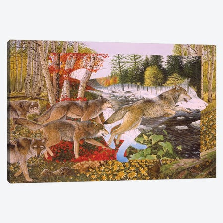 Seasons Of The Wolf Canvas Print #GST247} by Graeme Stevenson Canvas Wall Art