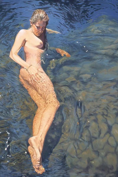 Shelly I by Graeme Stevenson framed wall art