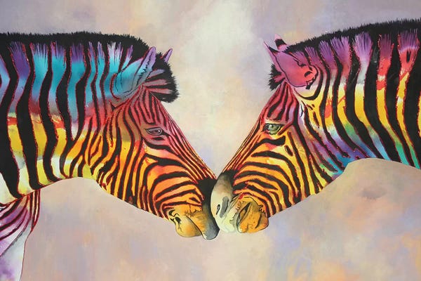 Zebras: Spectrum Zebras Large by Graeme Stevenson