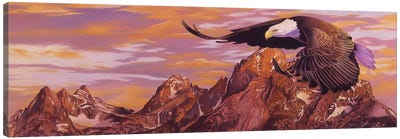 Teton Majesty Canvas Art Print - Eagle Art