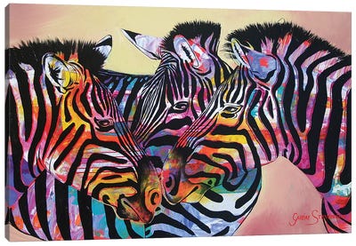 The Colours On Nature Canvas Art Print - Zebra Art