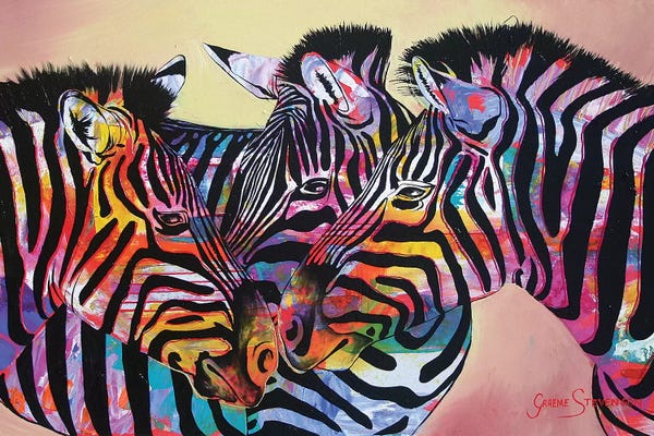 Zebras: The Colours On Nature by Graeme Stevenson