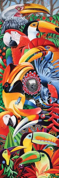 Parrots: Heads Up by Graeme Stevenson