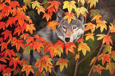 The Forest Ghost by Graeme Stevenson framed wall art