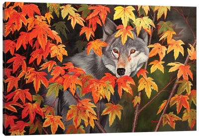 The Forest Ghost Canvas Art Print - Coyote Art