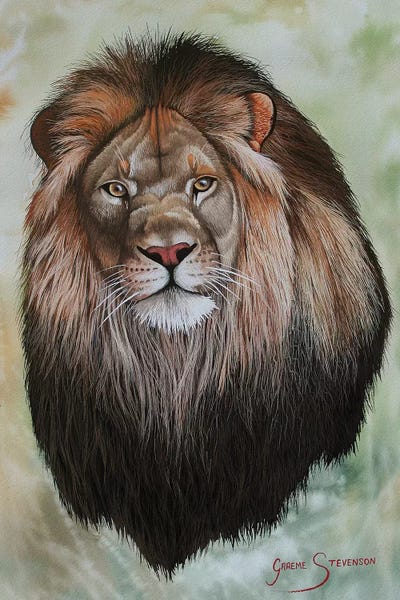 The King by Graeme Stevenson framed wall art