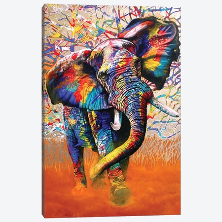 African Colours Canvas Print #GST2} by Graeme Stevenson Canvas Art