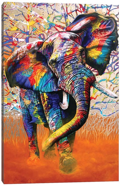 African Colours Canvas Art Print - Graeme Stevenson