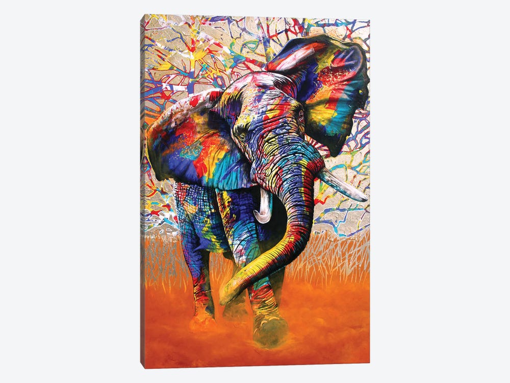African Colours by Graeme Stevenson 1-piece Canvas Art