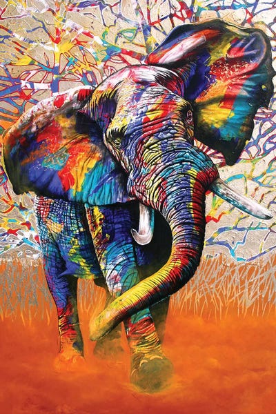 Elephants: African Colours by Graeme Stevenson
