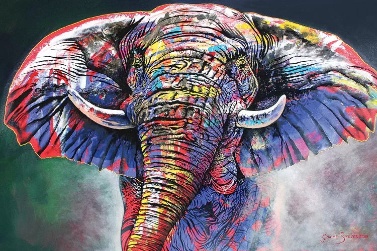 The Rainbow Bull by Graeme Stevenson wall art