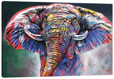 The Rainbow Bull Canvas Art Print - Graeme Stevenson