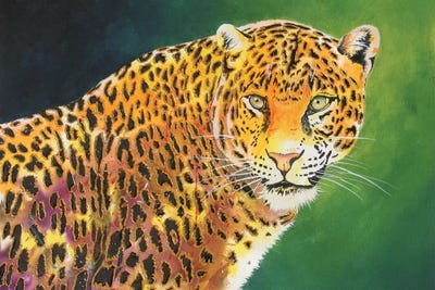 The Stare by Graeme Stevenson framed wall art