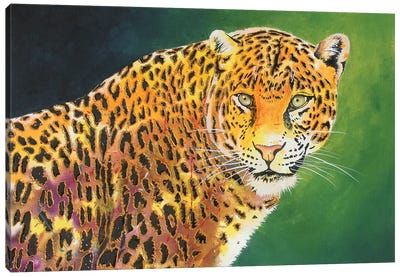 The Stare Canvas Art Print - Jaguar Art