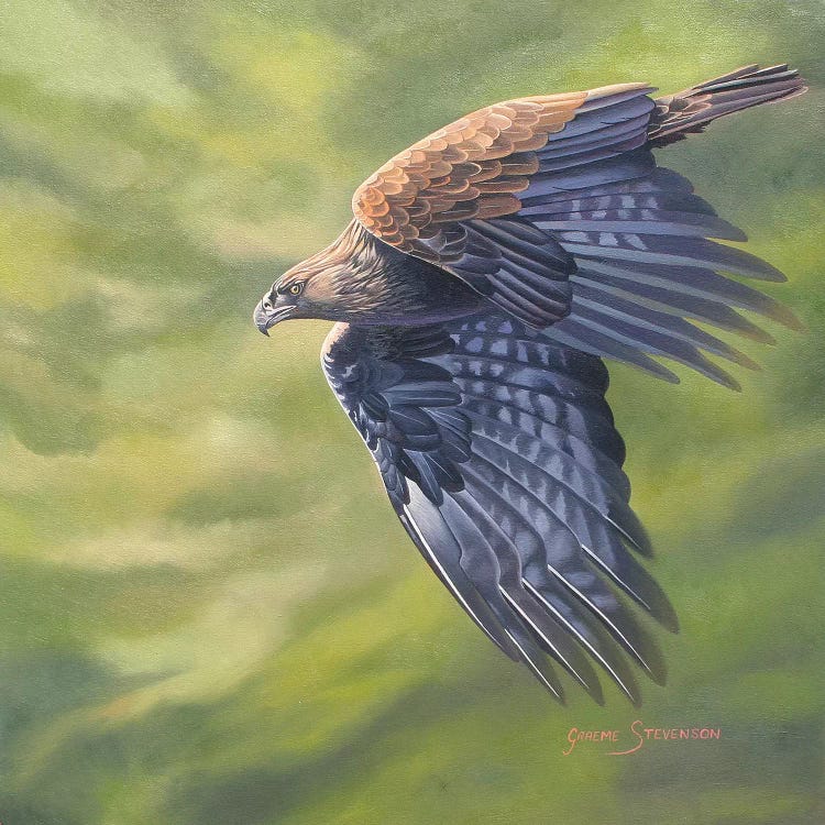 The Stoop by Graeme Stevenson wall art