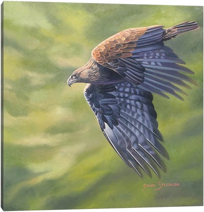 The Stoop Canvas Art Print - Buzzard & Hawk Art