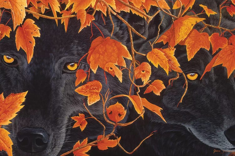 Three Wolves by Graeme Stevenson wall art