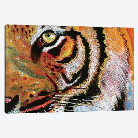 Tiger Burning Bright Canvas Print #GST317} by Graeme Stevenson Canvas Art