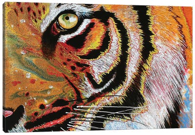 Tiger Burning Bright Canvas Art Print - Graeme Stevenson