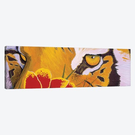 Tiger Eye Canvas Print #GST318} by Graeme Stevenson Canvas Art Print