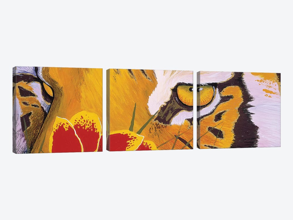 Tiger Eye by Graeme Stevenson 3-piece Canvas Print